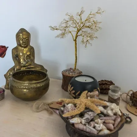 Cosy Oda ve Kahvaltı